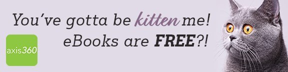 656_34_48_Axis360_CustomReach-Kitten(576x144).jpg