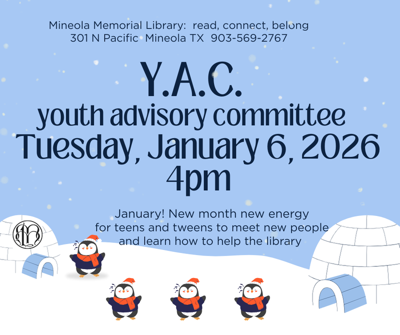 YAC:  youth advisory committee